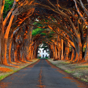 中国艳妇裸体欣赏
